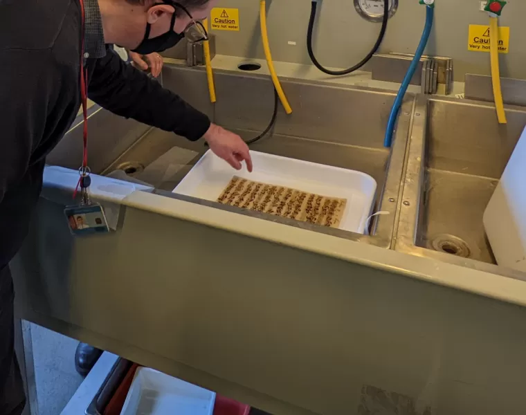 A conservationist working on a manuscript in a chemical bath